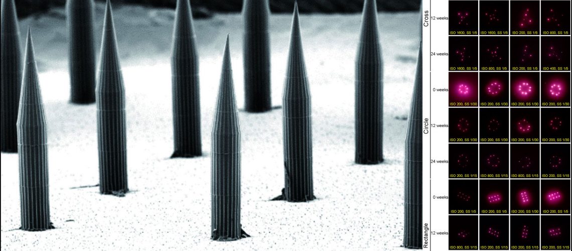 1920_x_1080_quantum_dot_micro_needle