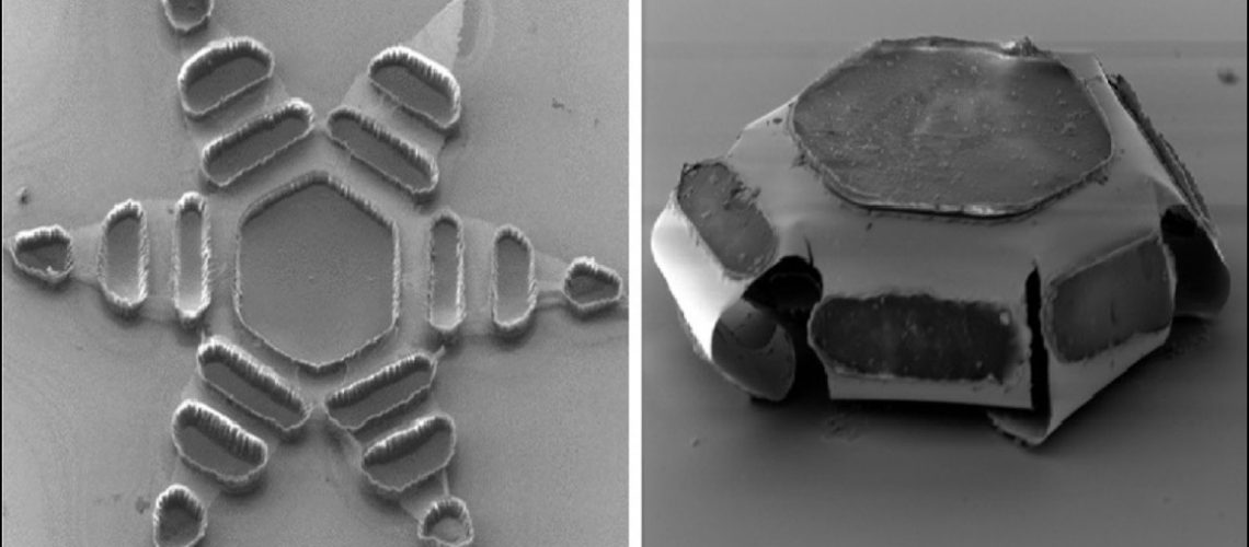 1920_x_1080_thermagripper