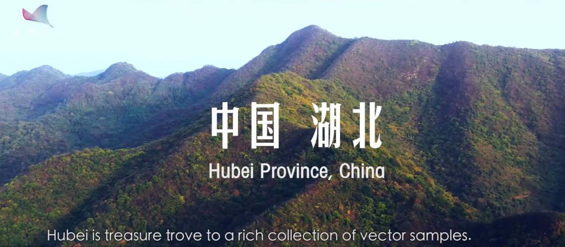 Youth-in-the-Wild---Invisible-Defender_Hubei_province